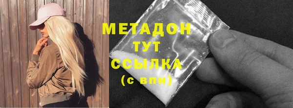 стаф Аркадак