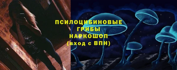 стаф Аркадак