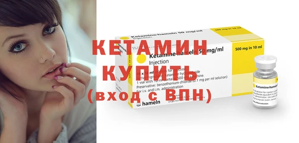 стаф Аркадак