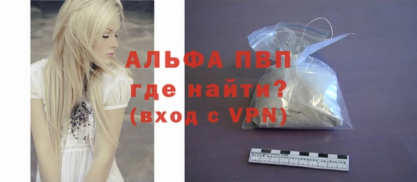 стаф Аркадак