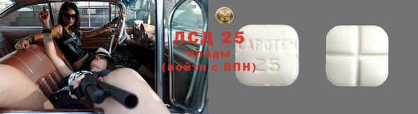 стаф Аркадак