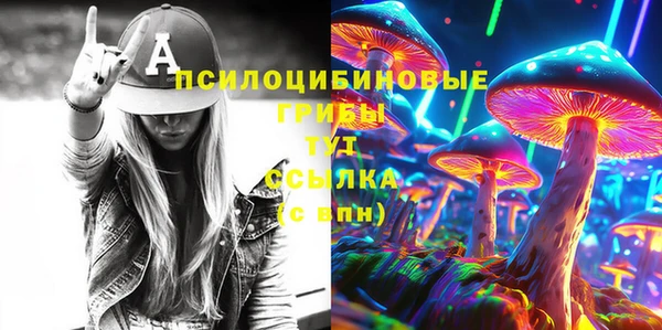 тгк Армянск