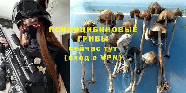 тгк Армянск