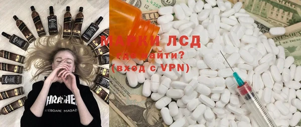 стаф Аркадак