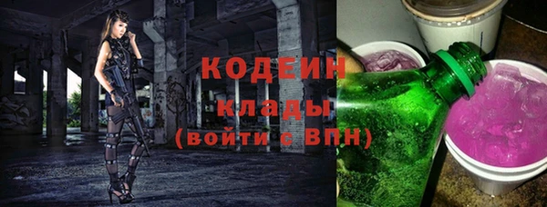 ГАЛЛЮЦИНОГЕННЫЕ ГРИБЫ Арсеньев