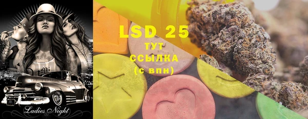 стаф Аркадак