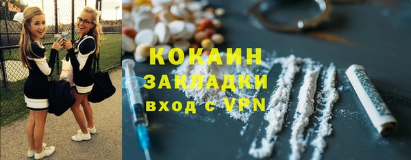 ГАЛЛЮЦИНОГЕННЫЕ ГРИБЫ Арсеньев